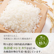 南魚沼コシヒカリ令和4年度 新米 3キロ 3キロ 果物や野菜などのお取り寄せ宅配食材通販産地直送アウル