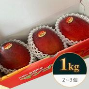 早切り摘果マンゴー1kg ｜ 果物/マンゴー 産直アウル 農家・漁師など