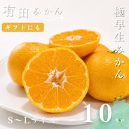 ご家庭用】極早生みかん-瀬戸内大崎上島産10kg ｜ 果物/温州みかん
