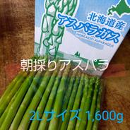 阿部農園の朝採りアスパラ2Lサイズ 800g×2袋 2Lサイズ 800g×2袋 果物や野菜などのお取り寄せ宅配食材通販産地直送アウル