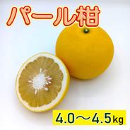 生産者直送パール柑4L以上10kg農薬・化学肥料不使用❣️ 179832009.jpg?cmsp_timestamp=