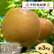 清流球磨梨・豊水 5kg箱(5〜14個入り) ｜ 果物/梨 産直アウル 農家