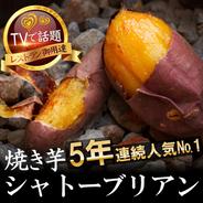 熊本県産 さつまいも 規格外品 箱込み 約2kg【003】熊本 サツマイモ