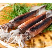 大間産イカゲソ イカゲソ 果物や野菜などのお取り寄せ宅配食材通販産地直送アウル