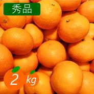 【秀品】カラマンダリン 2kg 春みかん♡濃厚な味わい！愛媛みかん！！ 14個前後(目安) 果物や野菜などのお取り寄せ宅配食材通販産地直送アウル