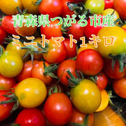 ミラクルファームのミニトマト1キロ ミニトマト1キロ分 果物や野菜などのお取り寄せ宅配食材通販産地直送アウル