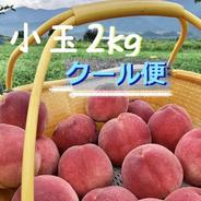 桃 【白鳳、御坂白鳳、雨宮白鳳etc】 ｜ 果物/もも 産直アウル 農家