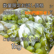 数量限定お試し価格】桃『訳あり品』『ご家庭用』品種おまかせ 2kg