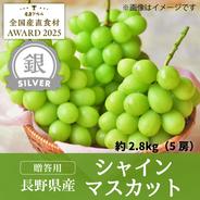 贈答用シャインマスカット2.8kg（5房）【銀賞受賞】／本気農場いけだ 約2.8kg（5房） 果物や野菜などのお取り寄せ宅配食材通販産地直送アウル
