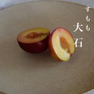 無農薬栽培のすもも 大石早生1．5キロ ｜ 果物/すもも・プラム 産直