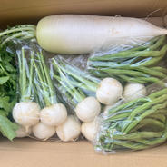 旬の野菜セット　厳選3種 インゲン500g かぶ12個　大根1本 果物や野菜などのお取り寄せ宅配食材通販産地直送アウル