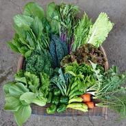 《冷蔵便》『群馬県産』季節の野菜SSセット5～6品(農薬、化学肥料不使用) 80サイズ 5キロ以下 果物や野菜などのお取り寄せ宅配食材通販産地直送アウル