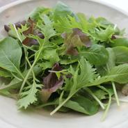 【500g×1袋】有機jasベビーリーフ大容量袋 500g 果物や野菜などのお取り寄せ宅配食材通販産地直送アウル