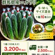 ビックリジャンボ インゲン 1kg ｜ 野菜/豆類 産直アウル 農家・漁師
