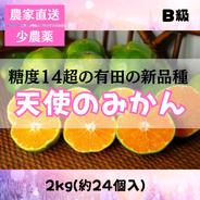 甘すぎ注意！最高級【天使のみかん】甘すぎる有田みかん 2kg 減農薬 新品種YN26 2kg 果物や野菜などのお取り寄せ宅配食材通販産地直送アウル