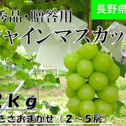 桃 早生 ワッサー 3kg ｜ 果物/もも 産直アウル 農家・漁師など生産者
