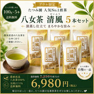2026年新茶】家庭用八女茶100g×5本セット｜たつみ園 ｜ お茶/緑茶 産直