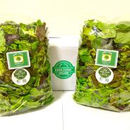 有機JAS認証サラダリーフMix400g(200g×2）&ラディッシュ150g×5パック（750ｇ）セット サラダリーフ400g(200g×2)、ラデッシュ750g(150g×5) 果物や野菜などのお取り寄せ宅配食材通販産地直送アウル