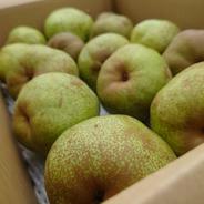 【お得な訳あり】ラ・フランス　5㎏箱いっぱい　秋田県産 【訳あり】ラ・フランス5㎏箱いっぱい 果物や野菜などのお取り寄せ宅配食材通販産地直送アウル