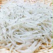 🐟希少 鮮魚 霞ヶ浦のダイヤ 生白魚 【しらす】🐟1.5kg 1.5kg 果物や野菜などのお取り寄せ宅配食材通販産地直送アウル