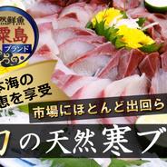 🐟待ちに待ったシーズン到来🐟春ブリ宣言の時期で身質が変わる天然"春"ブリ🐟超希少なお刺身スライスカット【2025年4月上中旬発送】お試し特価30％増量キャンペーン約350g🐟春ギフト🐟 天然春ぶりお試し350g 果物や野菜などのお取り寄せ宅配食材通販産地直送アウル