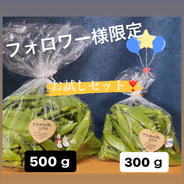 【フォロワー様限定】やみつき😋スナップエンドウ❣️ 1kg未満　300ｇ一袋　500ｇ一袋 果物や野菜などのお取り寄せ宅配食材通販産地直送アウル