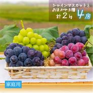 PS-1 花笑み農園 岡山の『ピオーネ＆シャインマスカット』1kg【9/18