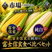 生が甘くて美味しい 新鮮で安全 安心な とうもろこし グラビス 6本