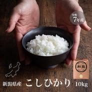新潟県産コシヒカリ,和泉,20kg,令和7年新米,【受注後精米・農家直売