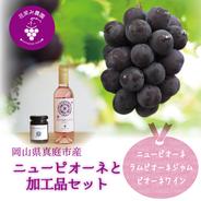 P-JW　花笑み農園　ピオーネと加工品セット（ピオーネジャム&ワイン） ピオーネ1房＋2本セット（ジャム、ワイン　各1本） 果物や野菜などのお取り寄せ宅配食材通販産地直送アウル