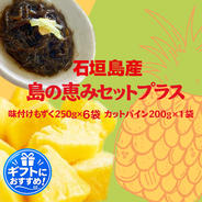 こちらは🌱種用です。購入希望の方がいらしたの出品🙇‍♀️島