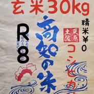 令和8年産 新米 高知県産 コシヒカリ 玄米20kg(袋込み) ｜ 米・穀物