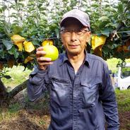なつひめ梨　5キロ✖️2 なつひめ梨　5キロ ✖️2 果物や野菜などのお取り寄せ宅配食材通販産地直送アウル