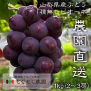 【山梨県産】ピオーネ(種無し)1kg（2〜3房）【クール便】 1kg（2房から3房） 果物や野菜などのお取り寄せ宅配食材通販産地直送アウル