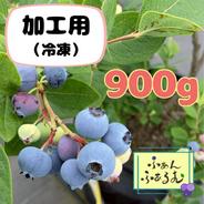在庫限り】1キロ 自然栽培 冷凍ハイブッシュ ブルーベリー ｜ 果物