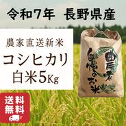 6周年限定】【白米】コシヒカリ 5Kg 送料無料 令和7年 長野県産 新米