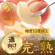 🍑お中元ギフト🍑【7月晩生完熟桃】先行予約💡本場山梨が世界に誇るセレブリティーな熟桃まさに別格な贅の極み『完熟』ブランド桃🍑お得用約2kg【アウルの日】 完熟桃約2kg5～6個 果物や野菜などのお取り寄せ宅配食材通販産地直送アウル