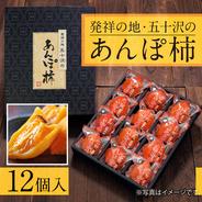 伊達市発祥特産品"あんぽ柿"　個包装12個 12個 果物や野菜などのお取り寄せ宅配食材通販産地直送アウル