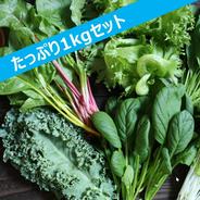ココワークの新鮮野菜1kg 1kg 果物や野菜などのお取り寄せ宅配食材通販産地直送アウル