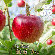 ワッサー 3kg 桃 ｜ 果物/もも 産直アウル 農家・漁師など生産者から