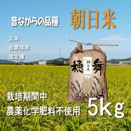 2025年 自然栽培（20年以上）で作った おいしいお米 10kg（玄米