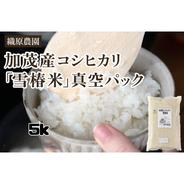 無農薬米新潟県産コシヒカリ10k ｜ 米・穀物/米/精米 産直アウル 農家