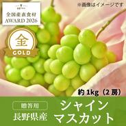 金賞】シャインマスカット1kg（2房・家庭用）／本気農場いけだ ｜ 果物