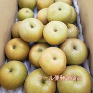 【クール便発送商品】8月収穫梨！訳ありご家庭用梨！サイズいろいろはいります！4ｋｇ！ 4 果物や野菜などのお取り寄せ宅配食材通販産地直送アウル