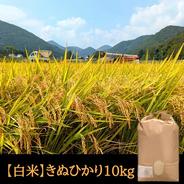 【令和7年新米】兵庫県淡路島産キヌヒカリ精米後15キロ(低農薬白米)農家直送 JAあわじ島オンラインショップ / 令和7年度産新米あわじ島米