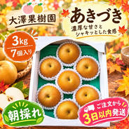 数量限定価格 秀品 秋月梨 5キロ箱 10玉から20玉入 あきづき 梨