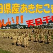 農家直送 自然乾燥米秋田県産あきたこまち白米１０kg(５kg×２袋) 白米５kg×２袋 果物や野菜などのお取り寄せ宅配食材通販産地直送アウル