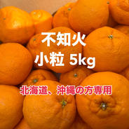 不知火(しらぬい) 小粒 5kg 農家直送🧑‍🌾　北海道沖縄の方専用 5kg 果物や野菜などのお取り寄せ宅配食材通販産地直送アウル