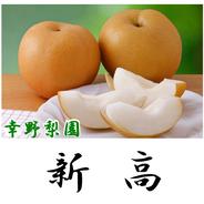 加工用ジャム用 新高梨 10キロ 訳アリ ｜ 果物/梨 産直アウル 農家