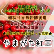 山形県産さくらんぼ やまがた紅王 1kg 贈答用 LLサイズ ｜ 果物